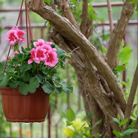 In Mit Gemeinsamem Pool Und Garten Fazana
